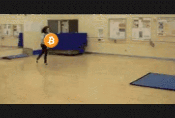 bitcoin crash gif