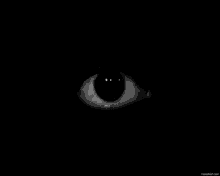 Black Eye Dark GIF - Black Eye Eye Dark GIFs