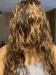 Tricia Grace Hairy GIF - Tricia Grace Hairy Bad Hair Day GIFs