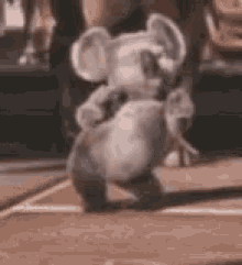 Koala Bear GIF - Koala Bear Dance GIFs