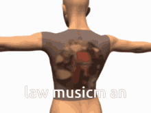Laws Lawmusicman GIF - Laws Lawmusicman Law GIFs