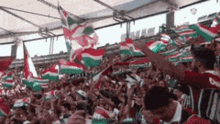 Fluminense Torcida GIF - Fluminense Torcida Fluzão GIFs