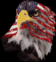 America Eagle GIF - America Eagle Sparkly GIFs