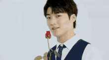 xoxo rose