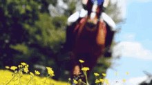 Ride GIF - Horse Horses Equine GIFs