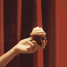 eat cupcake