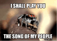 song of my people spider song of my people spider