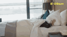 Checking Phone Bed GIF - Checking Phone Bed Tired GIFs