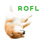 Rofl Roll GIF - Rofl Roll Doggo GIFs