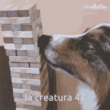 La Creatura42 GIF - La Creatura42 La Creatura Creatura GIFs