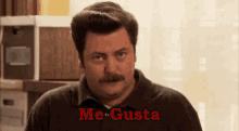 Me Gusta Fface GIF - Parks And Rec Ron Swanson Nick Offerman GIFs