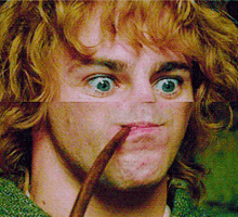 Lord Of The Rings Deal With It GIF - Lord Of The Rings Deal With It GIFs
