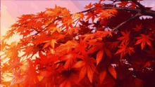 Fall Autumn GIF - Fall Autumn Leaves GIFs