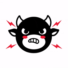 black cow red cheeks angry fuming