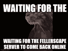 Fellerscape Server GIF - Fellerscape Server Online GIFs