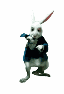 alice alice in wonderland rabbit white rabbit it is time alice alice in wonderland rabbit white rabbit it is time