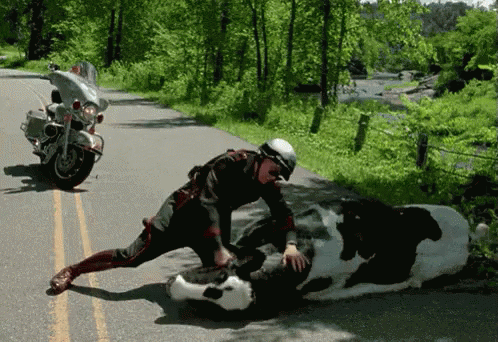 Cow Cop GIF - Cow Cop Beat - Discover &amp; Share GIFs