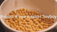 soylent soyboy