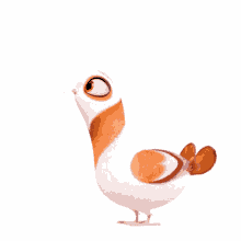 bird i
