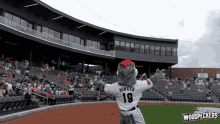 baseball mi lb bunker mascot woodpeckers