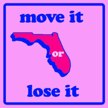 Florida Miami GIF - Florida Fl Miami GIFs
