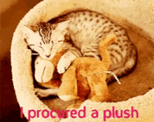 Plush Stuffed Animal GIF - Plush Stuffed Animal Hug GIFs