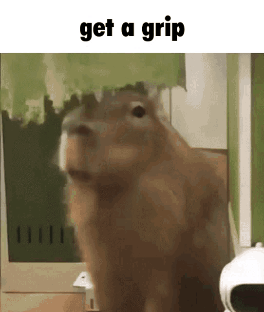Get Get A GIF - Get Get A Get A Grip GIFs
