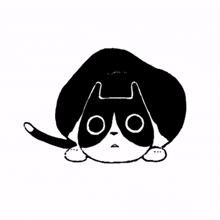 fantastic cat