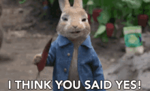 you said yes yes yup peter rabbit peter rabbit gifs you said yes yes yup peter rabbit peter rabbit gifs