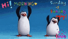 Morning Happy Sunday GIF - Morning Happy Sunday Penguin GIFs