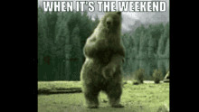 When Its The Weekend Bear GIF - When Its The Weekend Bear Happy GIFs