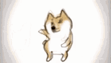 Shiba Inu Dancing Dog GIF - Shiba Inu Dancing Dog Dancing Shibe GIFs