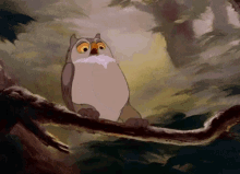 Owl Spin GIF - Owl Spin GIFs