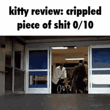 Kitty Review Kitten GIF - Kitty Review Kitty Kitten GIFs