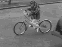 Monkey Cycling GIF - Monkey Cycling Bicycle GIFs