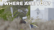 Where Are You Waiting GIF - Where Are You Waiting Stittsville GIFs
