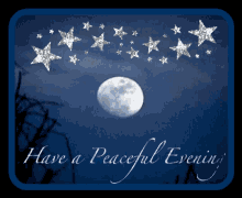 have a peaceful evening goodnight sweet draems twinkle moon