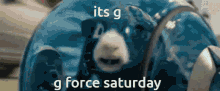 Gforce Saturday GIF - Gforce Saturday Stickies Movie Nerds GIFs