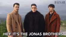 Hey Its The Jonas Brothers GIF - Hey Its The Jonas Brothers Were Here GIFs