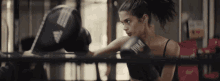 gym box sara sampaio vs sampaio gym box sara sampaio vs sampaio
