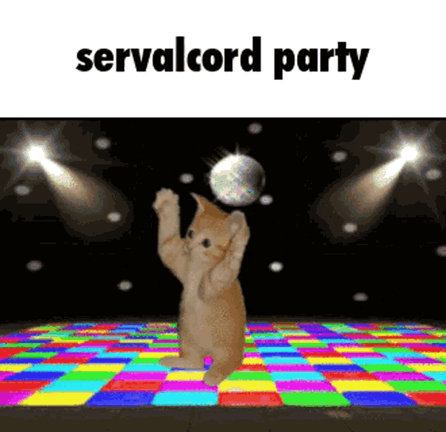 Servalcord Discord GIF Servalcord Serval Cord Discover & Share GIFs