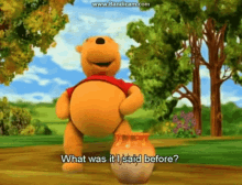 The Book Of Pooh What Was It I Said Before GIF - The Book Of Pooh Pooh What Was It I Said Before GIFs