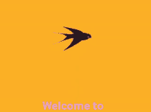 Meadowlark Welcome GIF - Meadowlark Welcome Meadowlark Airlines GIFs