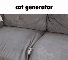 Cat Generator GIF - Cat Generator Hiding GIFs