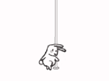 bunny poledancing cute funny