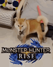 monsterhunterdoge doge