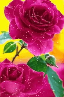 Floral GIF - Floral GIFs