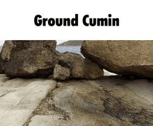 Ground Cumin GIF - Ground Cumin Cum GIFs