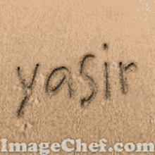 Yasir Yasir Name GIF - Yasir Yasir Name Beach GIFs