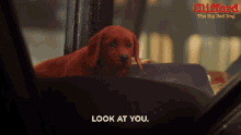 Look At You Clifford GIF - Look At You Clifford Clifford The Big Red Dog GIFs